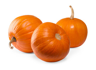 Many fresh orange pumpkins isolated on white