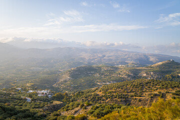 Obraz premium The rocky mountains above green olive fields , in Europe, Greece, Crete, towards Ierapetra, By the Mediterranean sea, in summer, on a sunny day.