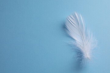 Fluffy white feather on light blue background, top view. Space for text