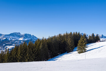 The Mont Blanc massif and its fir forests in Europe, France, Rhone Alpes, Savoie, Alps, in winter, on a sunny day.