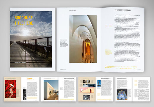 Structured and Clean Brochure