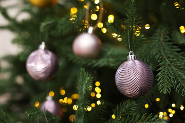 Beautiful Christmas balls hanging on fir tree, closeup