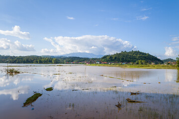 A lake and the flooded rice fields in the green countryside near the mountains, Asia, Vietnam, Tonkin, Dien Bien Phu, in summer, on a sunny day.