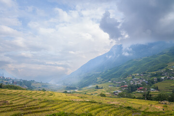 The green and yellow rice terraces on the green tropical mountains, in Asia, Vietnam, Tonkin, Sapa,...