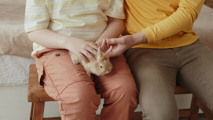 Father and son are petting cute beige rabbit sitting on his lap. Small pet sits calmly on boy legs and funny moves its nose. Fun family time together on Easter Eve.