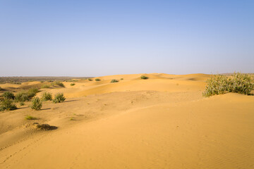 Fototapeta na wymiar The desert in Asia, India, Rajasthan, Jaisalmer in summer on a sunny day.