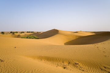 The desert in Asia, India, Rajasthan, Jaisalmer in summer on a sunny day.