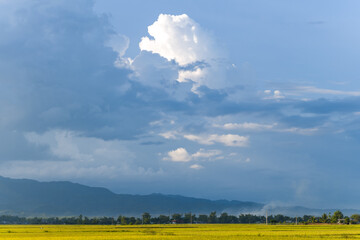 A thunderstorm in preparation in the middle of green and yellow rice fields and mountains, in Asia, in Vietnam, in Tonkin, in Dien Bien Phu, in summer, on a sunny day.