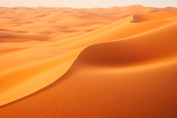 Fototapeta na wymiar Aerial Oasis: Desert Panorama
