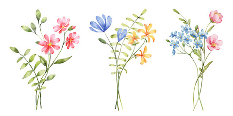 Obraz na płótnie Canvas Wild flowers set, watercolor hand painting, digital floral illustration. Bouquets banner border. 
