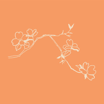 illustration of an exotic flower