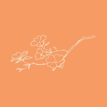 illustration of an exotic flower