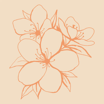 illustration of an exotic flower
