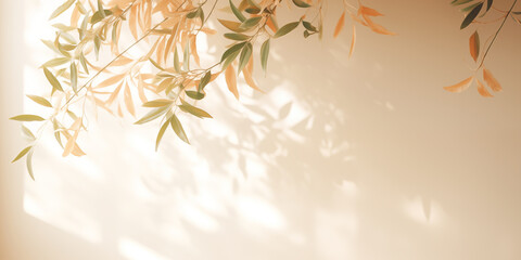 Light beige minimalistic background with a tree branch. Bright sunlight and shadows from the foliage.