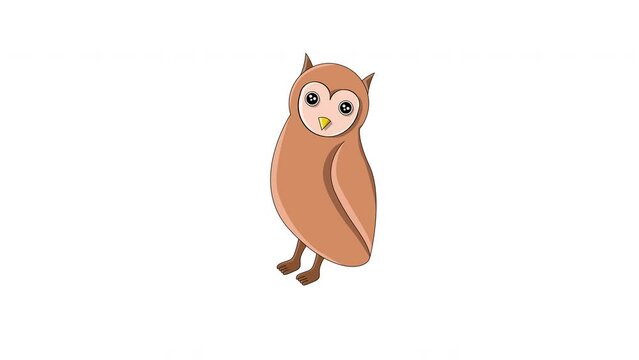 animated video of the owl icon