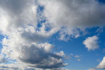 blue sky over the savannah of Africa