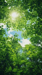 Fototapeta na wymiar Green leaves in summer. Lush and bright panorama