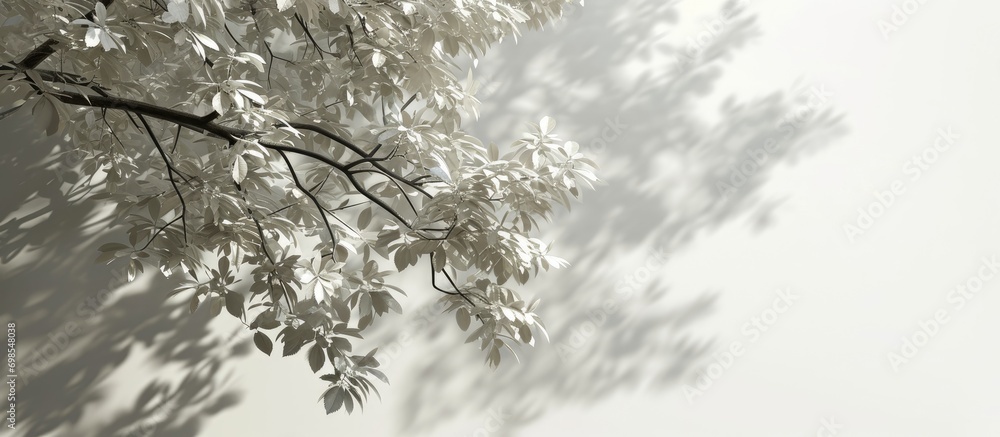 Poster white background with a leafy shadow tree.