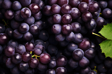Fototapeta premium Fresh fruit brunch black grapes