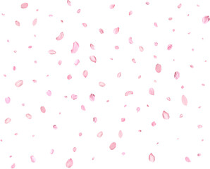 Fototapeta na wymiar Pink Spring Japanese Cherry petals.