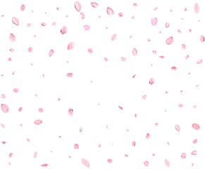 Pink Spring Japanese Cherry petals.