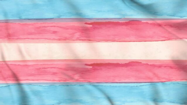 International Transgender Day of Visibility vector, World sexual health day, Third gender day, Concept of gender, Transgender Day of Visibility Poster, March 31, important Day, Animation