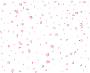 Fototapeta na wymiar Pink Spring Japanese sakura petals.