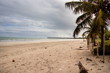 Maceió Beach Caribbean Brazil and Maragogi