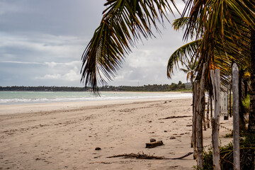 Fototapeta na wymiar Maceió Beach Caribbean Brazil and Maragogi