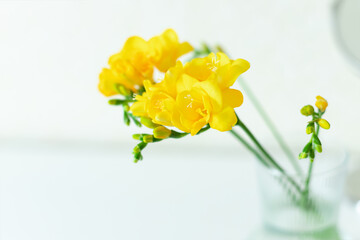 Yellow freesia flowers in a glass vase on the white table. Selective focus. Close up