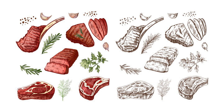 A set of hand-drawn sketches of barbecue meat pieces with herbs and seasonings. For the design of menu for restaurants, steaks. Vintage illustration. Engraved image.