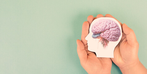 Holding a brain in the hands, Parkinson disease, Alzheimer awardness, mental disorder dementia,...