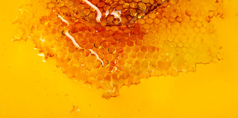 honey texture close up in the detail - 698561017