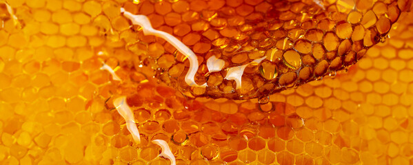 honey texture close up in the detail