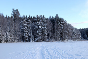 Obraz premium Winter
