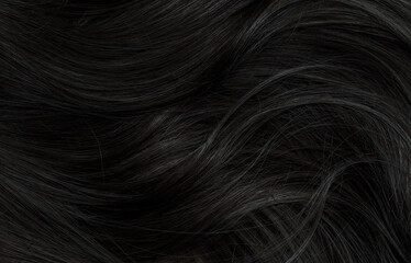 Brunette or black hair. Female long dark hair in black. Beautifully laid curls. Closeup texture in a dark key. Hairdressing, hair care and coloring. Shading gray hair. Background with copy space. - obrazy, fototapety, plakaty