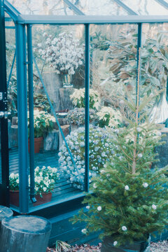 クリスマスに行った箱根の庭園