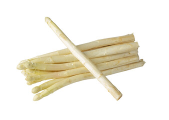 White Asparagus Isolated, Raw Garden Vegetables Bunch, Edible Sprouts of Asparagus Officinalis