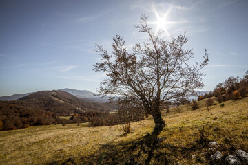 Obraz premium A symphony of autumn colors.