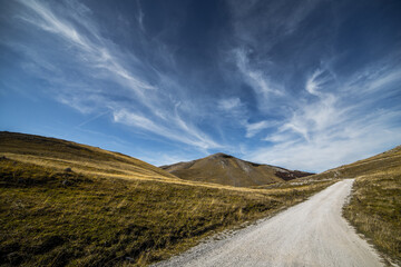 A symphony of autumn colors.