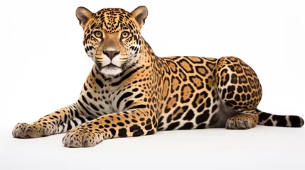 Foto auf Acrylglas jaguar isolated on white background, AI Generative. © Miry Haval