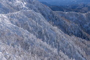 冬の剣ヶ峰山の山肌