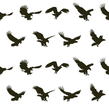 The seamless background with flying eagles.
