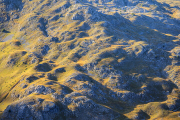 A symphony of autumn colors.