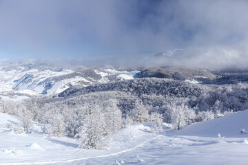 Fototapeta premium Solitude in snowy mountain serenity.