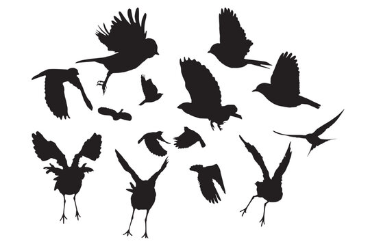 Cute songbirds flying. Vector images.