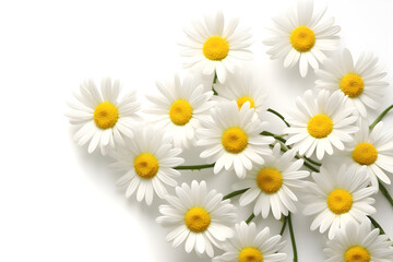 Fototapeta premium Daisies isolated on white - Generative AI
