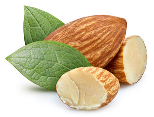 Almond isolated on white background