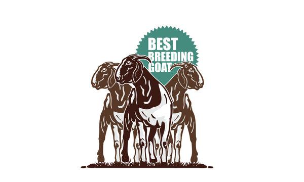 BEST BOER GOAT FROM FAMOUS BREEDER LOGO, silhouette of great ram standing in farm vector illustrations