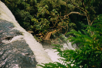 el maravilloso mundo de iguazú